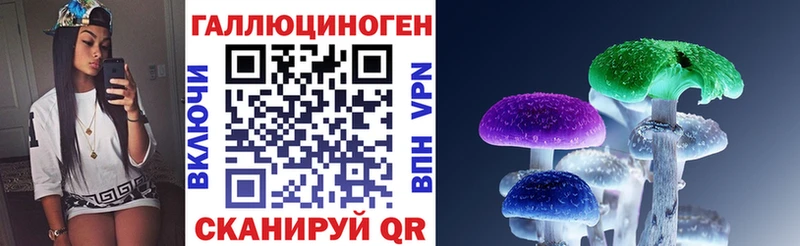 Псилоцибиновые грибы прущие грибы  Суздаль 